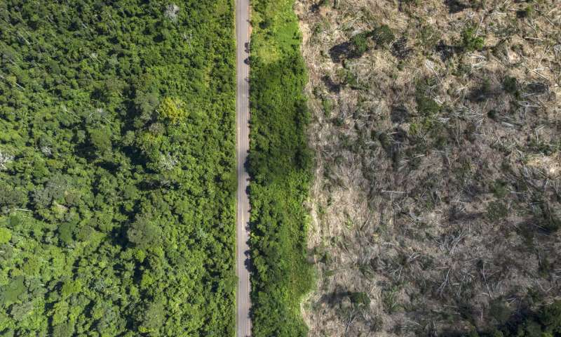 :Marizilda Cruppe/Rede Amazônia Sustentável